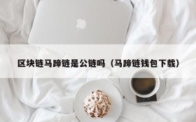 区块链马蹄链是公链吗(马蹄链钱包下载)