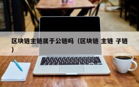 区块链主链属于公链吗(区块链 主链 子链)