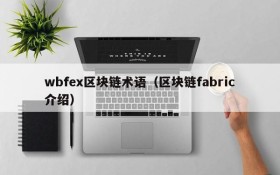 wbfex区块链术语（区块链fabric介绍）