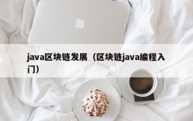 java区块链发展(区块链java编程入门)