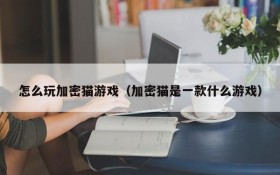 怎么玩加密猫游戏(加密猫是一款什么游戏)