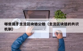 哪些属于主流区块链公链(主流区块链的共识机制)