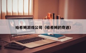 哈希姆游戏公司(哈希姆的奇遇)