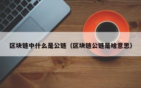 区块链中什么是公链(区块链公链是啥意思)