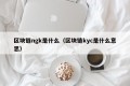 区块链ngk是什么（区块链kyc是什么意思）