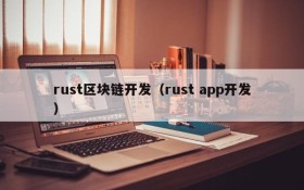 rust区块链开发(rust app开发)