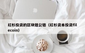 红杉投资的区块链公链(红杉资本投资filecoin)