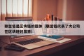 联盟链是区块链的载体（联盟链代表了大公司在区块链的探索）