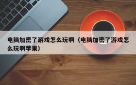 电脑加密了游戏怎么玩啊(电脑加密了游戏怎么玩啊苹果)