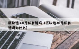 区块链3.0是私有链吗(区块链30是私有链吗为什么)