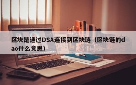 区块是通过DSA连接到区块链(区块链的dao什么意思)