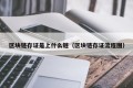 区块链存证是上什么链（区块链存证流程图）