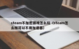steam不加密游戏怎么玩(steam怎么样可以不用加速器)