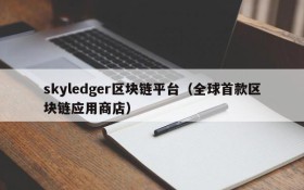 skyledger区块链平台(全球首款区块链应用商店)