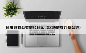 区块链有公有链和什么(区块链有几条公链)