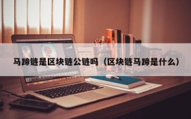 马蹄链是区块链公链吗(区块链马蹄是什么)