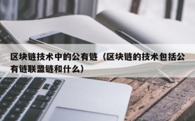 区块链技术中的公有链(区块链的技术包括公有链联盟链和什么)