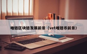 唯链区块链发展前景(vet唯链币前景)