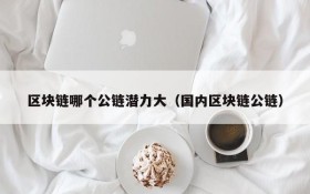 区块链哪个公链潜力大(国内区块链公链)