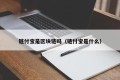 链付宝是区块链吗（链付宝是什么）