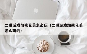 二琳游戏加密兄弟怎么玩(二琳游戏加密兄弟怎么玩的)
