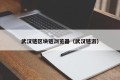 武汉链区块链浏览器（武汉链游）