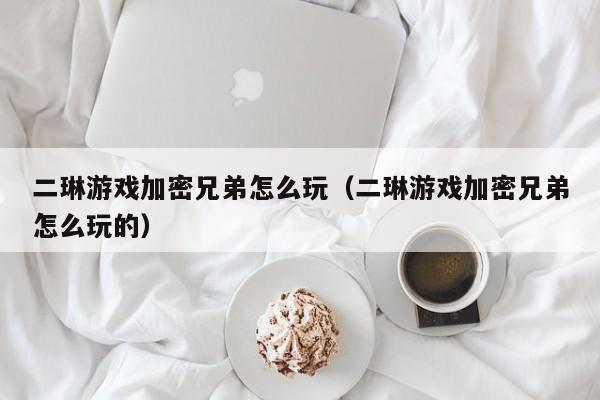 二琳游戏加密兄弟怎么玩（二琳游戏加密兄弟怎么玩的）