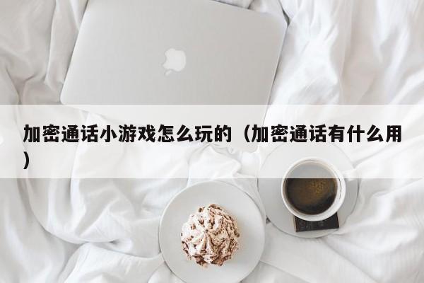 加密通话小游戏怎么玩的（加密通话有什么用）