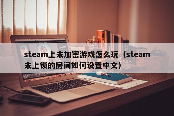 steam上未加密游戏怎么玩（steam未上锁的房间如何设置中文）