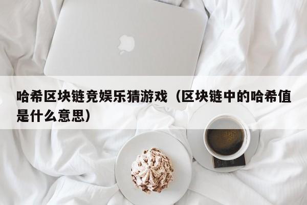 哈希区块链竞娱乐猜游戏（区块链中的哈希值是什么意思）