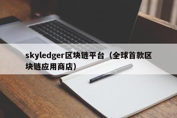 skyledger区块链平台（全球首款区块链应用商店）