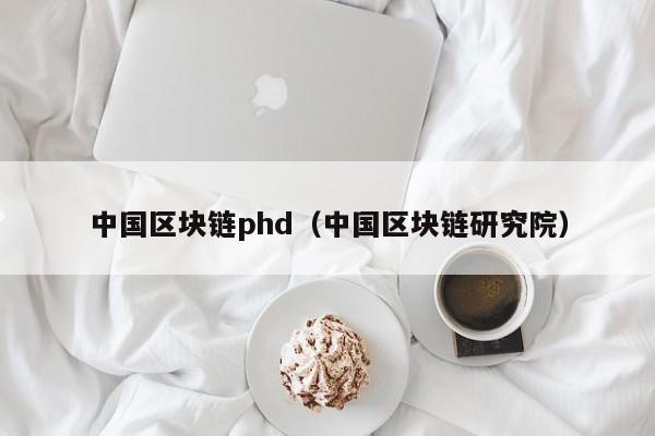 中国区块链phd（中国区块链研究院）
