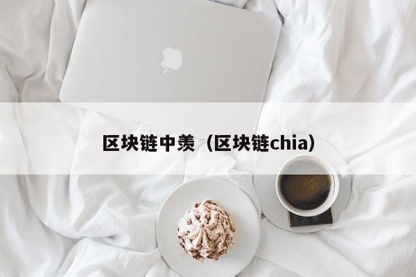 区块链中羡（区块链chia）