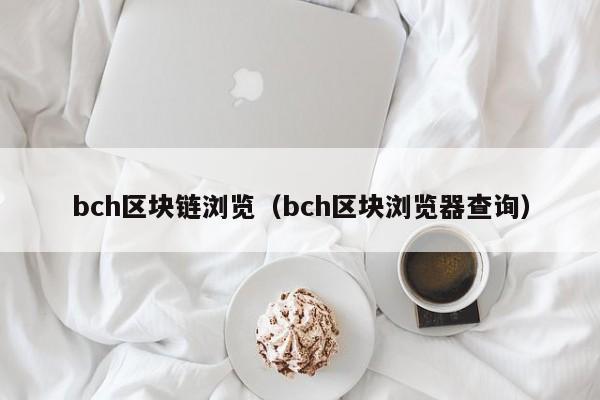 bch区块链浏览（bch区块浏览器查询）