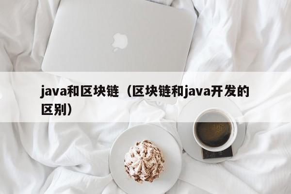 java和区块链（区块链和java开发的区别）