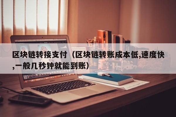 区块链转接支付（区块链转账成本低,速度快,一般几秒钟就能到账）