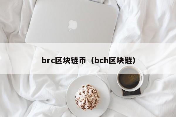 brc区块链币（bch区块链）