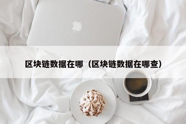 区块链数据在哪（区块链数据在哪查）