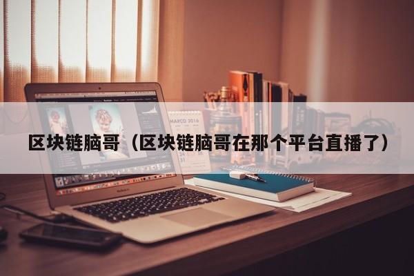 区块链脑哥（区块链脑哥在那个平台直播了）