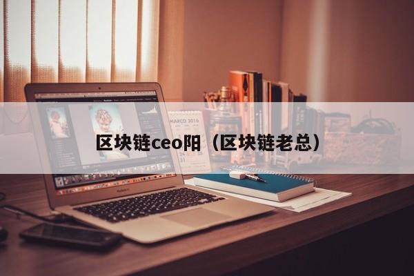 区块链ceo阳（区块链老总）
