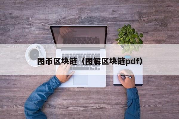 图币区块链（图解区块链pdf）