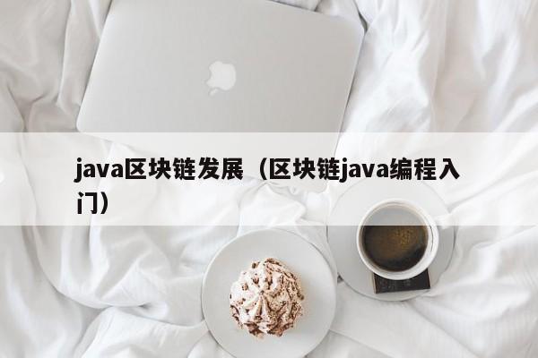 java区块链发展（区块链java编程入门）