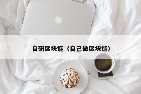 自研区块链（自己做区块链）