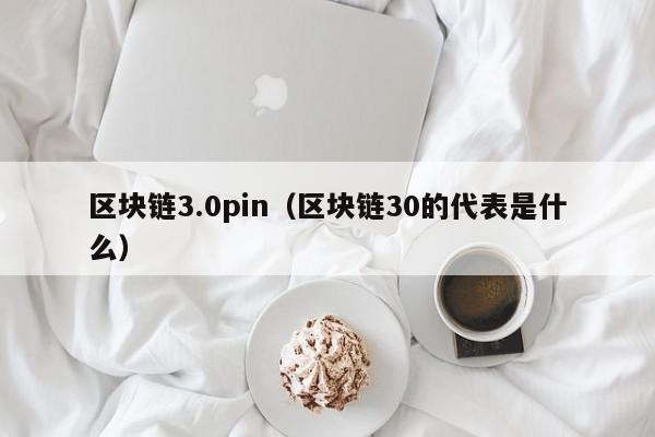 区块链3.0pin（区块链30的代表是什么）