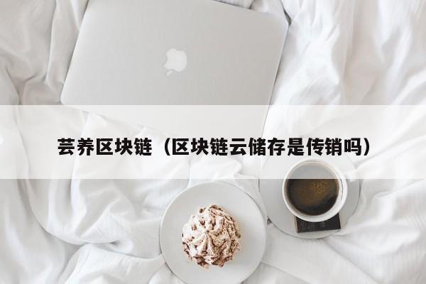 芸养区块链（区块链云储存是传销吗）