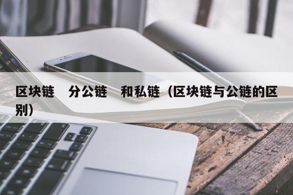 区块链　分公链　和私链（区块链与公链的区别）
