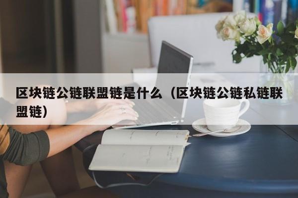 区块链公链联盟链是什么（区块链公链私链联盟链）