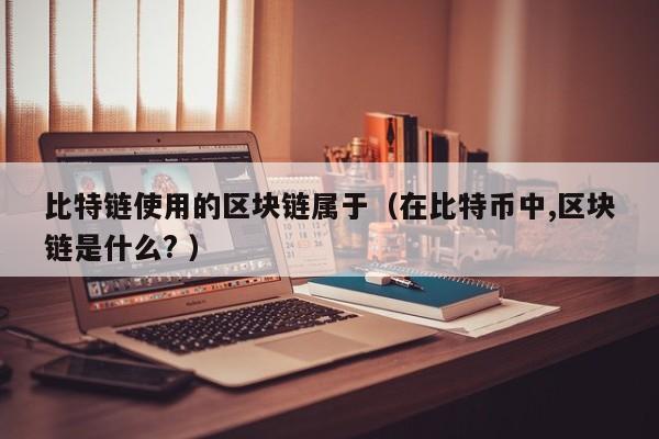 比特链使用的区块链属于（在比特币中,区块链是什么? ）