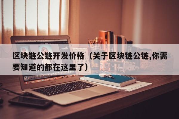 区块链公链开发价格（关于区块链公链,你需要知道的都在这里了）