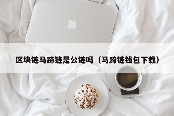 区块链马蹄链是公链吗（马蹄链钱包下载）